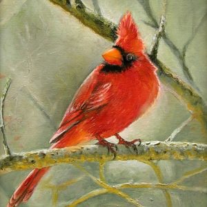 Cardinal in Winter. 11 X 14